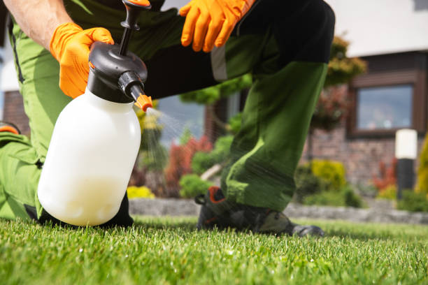 Best Residential Pest Control  in Shorewood Tower Hills Harbert, MI