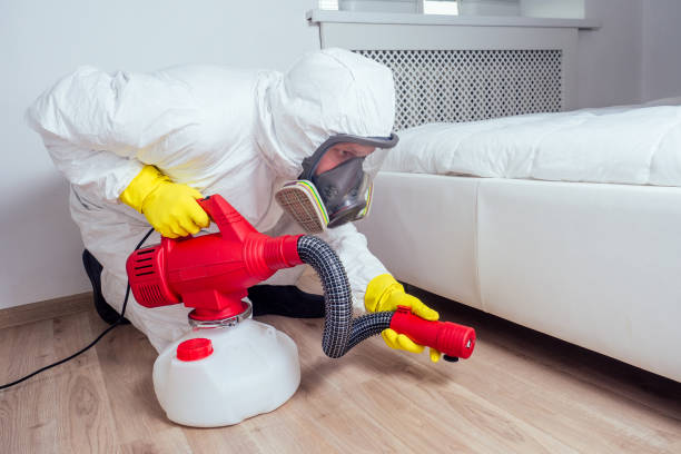 Best Emergency Pest Control  in Shorewood Tower Hills Harbert, MI