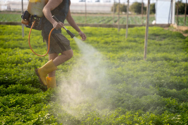 Best Commercial Pest Control Services  in Shorewood Tower Hills Harbert, MI