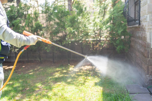 Best Affordable Pest Control Services  in Shorewood Tower Hills Harbert, MI