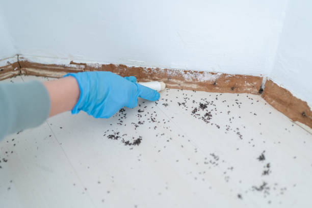 Professional Pest Control in Shorewood Tower Hills Harbert, MI