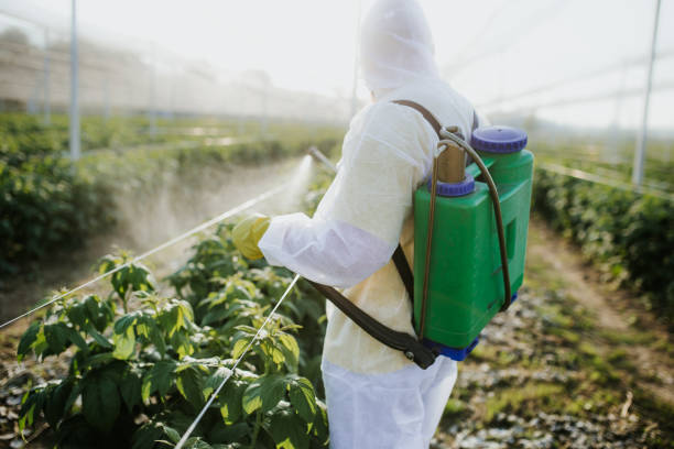 Best Local Pest Control Services  in Shorewood Tower Hills Harbert, MI